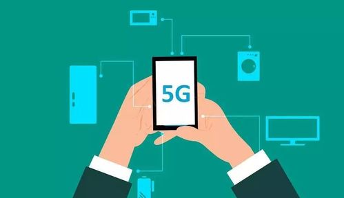 三彩家科技 借力信息技术咨询，赋能生活服务行业降本增效