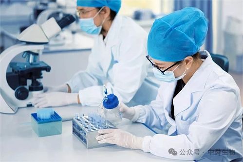 中舜生物 一站式大健康食品OEM，信息技术咨询服务赋能品牌快速成长